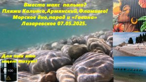 Вместо Макса пальма? Калипсо Армянский и Фламинго! Морское дно парад и Гавана Лазаревское 07.05.25