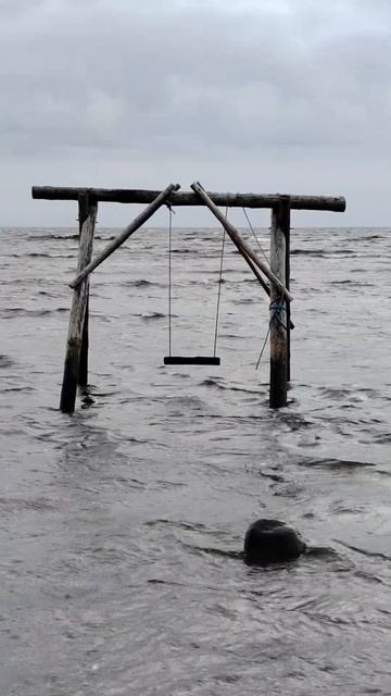 Одинокие качели #питер #финскийзалив #море #балтика