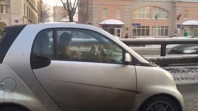 Девушка за рулем Приколы 2016 смотреть онлайн