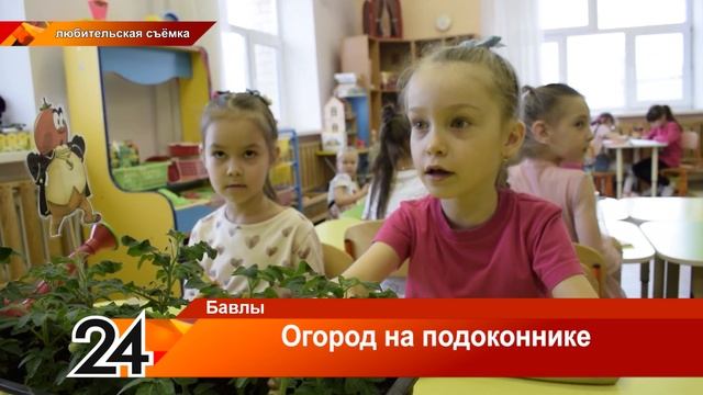 Огород на подоконнике