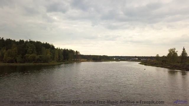 Леса превращаются в личный космос под эту мелодию - Alive In It -- Ketsa -- Equinox Rising
