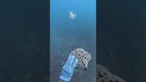 VID-20250507-WA1396