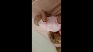 РЕБОРН 💣💥Алина обижает Еву скинула с кровати 😳приятного просмотра