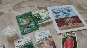 Проращивание и посадка семян арбузов и дынь.Как вырас?