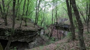 Однодневная прогулка по достопримечательностям Ильича