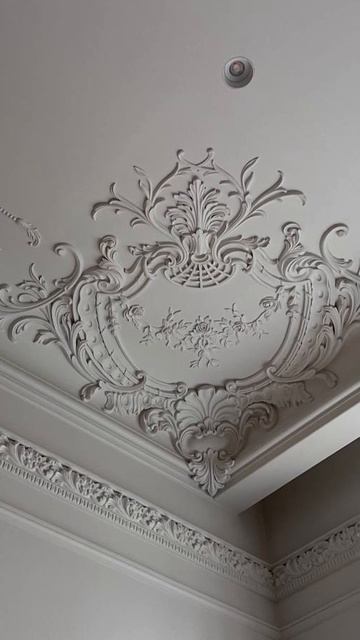 Результат работы материалом СМиТ COAT WP смотреть онлайн