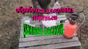 Обработка плодовых деревьев. Очень эффективное средство ранней весной