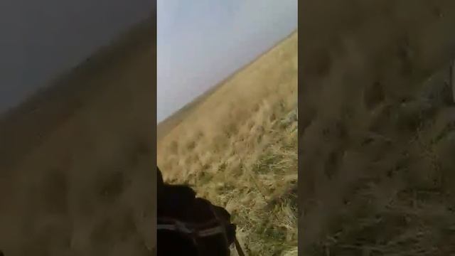 19 марта 2018 г. смотреть онлайн