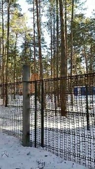 Красивые домики в лесном массиве в Подмосковье