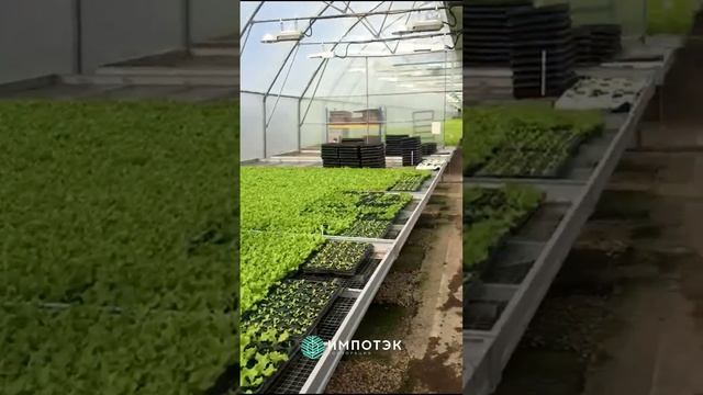 Теплица ИМПОТЭК: Стеллажи, обероны, воздухонагревател смотреть онлайн