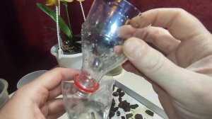 ОРХИДЕЯ - подросток в торфяном стаканчике. Какую сдела