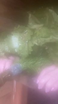 💫19 января всегда баня