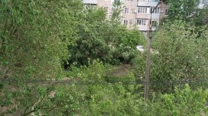 Майский дождь/ Погода/ Шум дождя