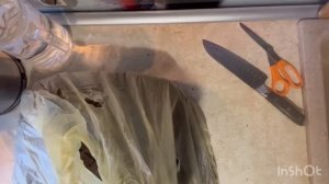 БОЛЬШАЯ РАСПАКОВКА! Корни пионов от Ворошиловой А.Б. и