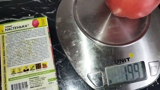 Немного томатов 🍅 Ошиблась с одним сортом смотреть онлайн