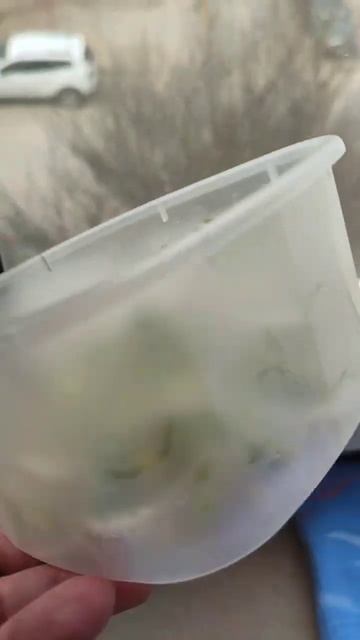 Микрозелень в банке! Подсолнечник #микрозелень #огоро? смотреть онлайн