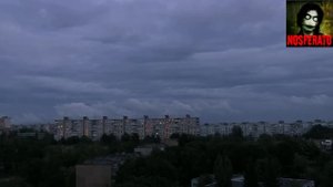 Дело N....Страшные истории на ночь 🫣🫣🫣