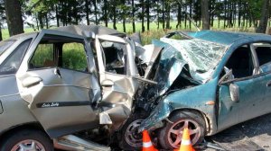 Аварии и ДТП на дорогах ТОРОПЫГИ за рулем