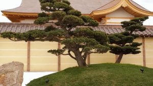 😵 Жаркие Традиции: Что Скрывают Японские Бани?