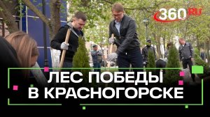 Мемориальный сквер на месте снесенной торговой точки: опыт Красногорска