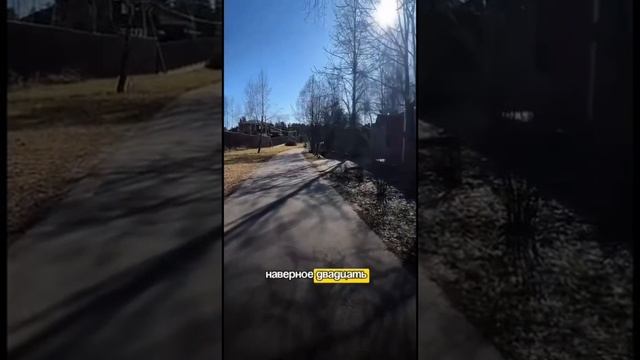 Как научить собаку спокойно выходить на прогулку за 5 уроков☝️