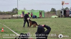 1 Отл. КЧК Аллемо Хаус ОКСИОН +++ №18 / КЧК ЧЕЛЯБИНСК 3 мая`25 I.Radulovic Моно нем.овчарок