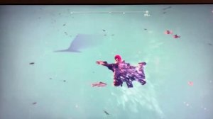 Нашел кита в Ассасин крид Одиссея