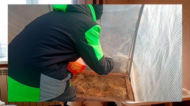 ❄️УСПЕВАЕМ! Какие работы нужно успеть сделать в САДУ смотреть онлайн