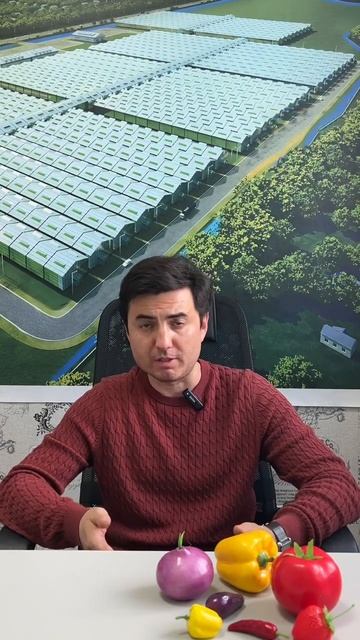 ОСНОВНЫЕ ВИДЫ ТЕПЛИЦ #шортс #бизнес #агробизнес #тепли?