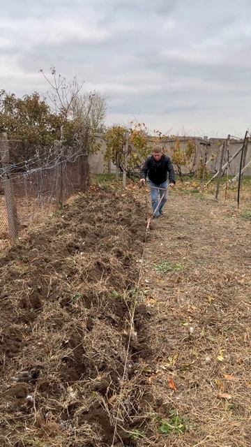 ПАШЕМ ПАШЕМ ОГОРОД😜👍! смотреть онлайн