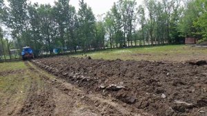 Трактор Т-40 вспашка огорода. Земля как бетон.Идиальное настройка плуга