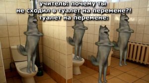 ИХВИЛЬНИХТ сборник мемов ЧАСТЬ 5 #ихвильнихт #тренды #танецволка #2023 #ichwillnicht #trending