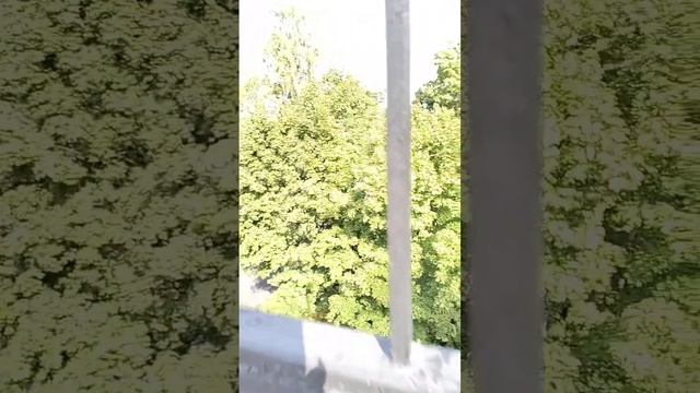 Прогулки по городу. Александровский сад. Киров. Осень,