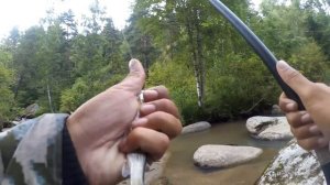 Рыбалка в огромных КАМНЯХ таежного ручье! Хариус на Алтае