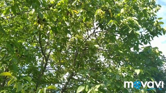 #осень#природа Тихая охота! 😊