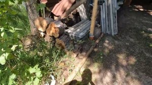 Навес для машины своими руками.Начало или продолжение