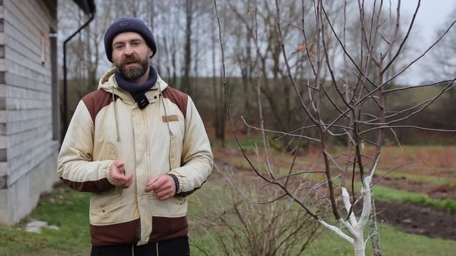 РУБРИКА "ВОПРОС-ОТВЕТ": Отвечаю на вопросы из коммента? смотреть онлайн