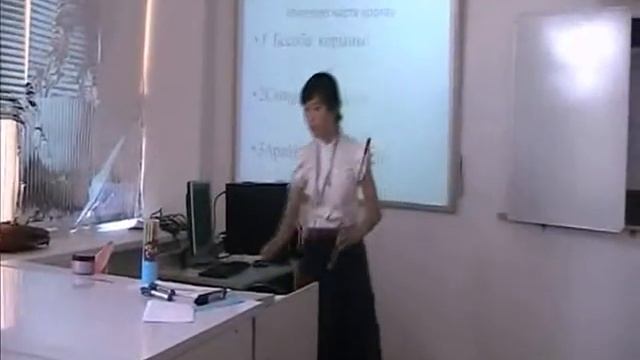 Рамазанова Динара Бакиткалиевна. Панорамалық сабақ