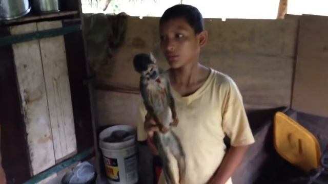 Суп из обезьяны 2 смотреть онлайн