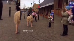 Пятница Приколы