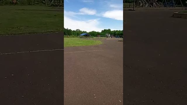 все детские площадки одной младшей школы США:)