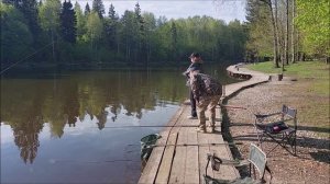 Утренняя рыбалка по карпу на Верхнем водоеме. Клевое место лосиный остров