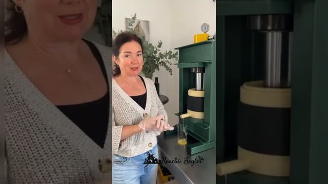Сыродавленое льняное масло. Этапы производства