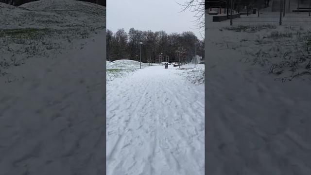 Германия Прогулка в каляске тест драйв на снег пройден нормально