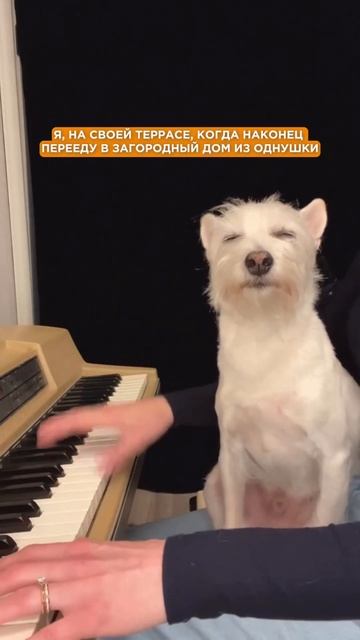 Мечта о собственном доме #скусадьбы #строительнаякомп