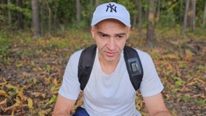 Что лучше - мицелий ежовика или плодовое тело?