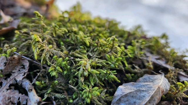 Сплав по Илети, 2025