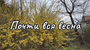 Влог. Череда жизненных событий уходящей весны. 7 мая 2025 г.
