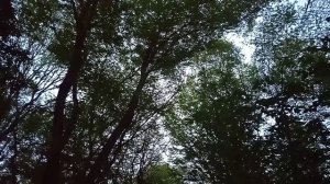 Ставропольские певцы....
