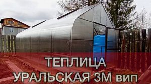 ГОТИКА. ТЕПЛИЦА УРАЛЬСКАЯ 3М. ТЕПЛИЦЫ ШИРИНОЙ 3 МЕТРА